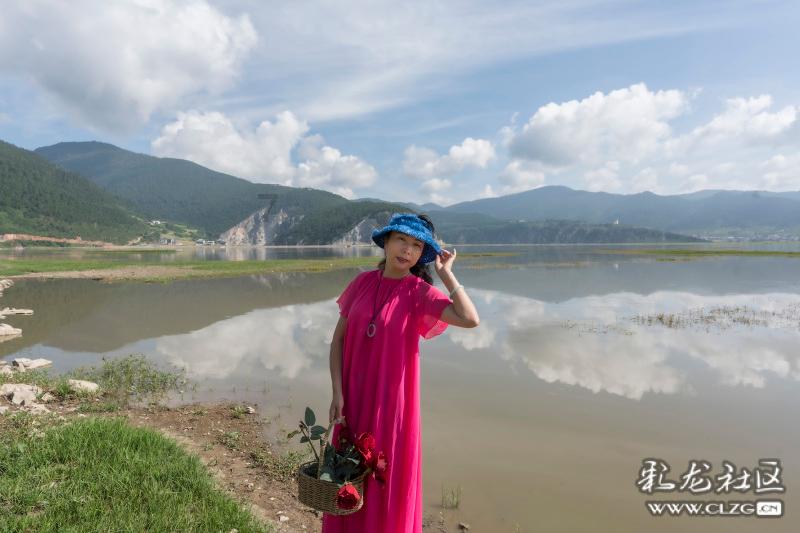 冬天在康乐县白桦林停了脚步……